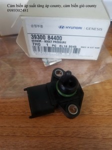 Cảm biến gió county 3930084400